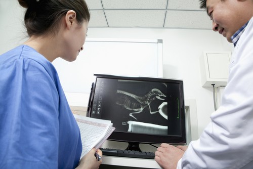 Advanced Digital X-rays Duffield, VA
